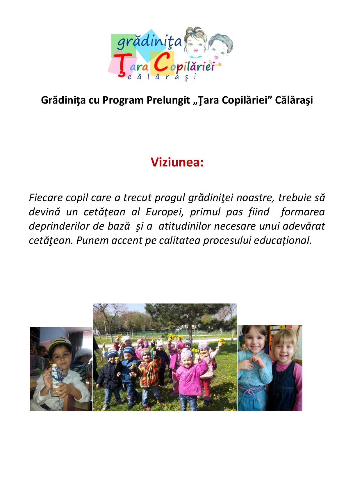 Viziunea2017 001